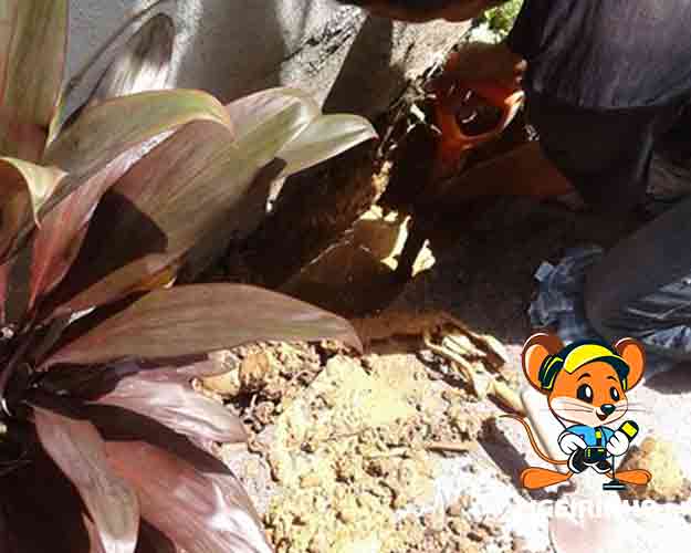 Conserto de infiltração de agua profissional com preço baixo