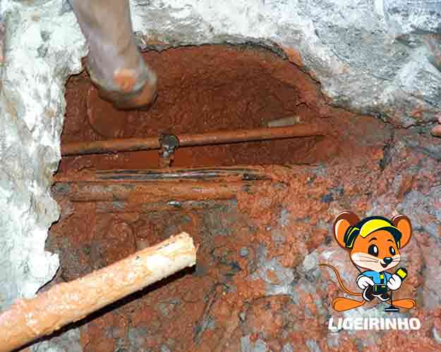 Detecção especializada de vazamento Ligeirinho