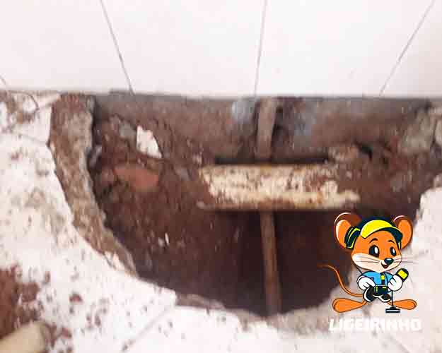 Empresa que detecta vazamentos em parede, solo, teto e laje Ligeirinho