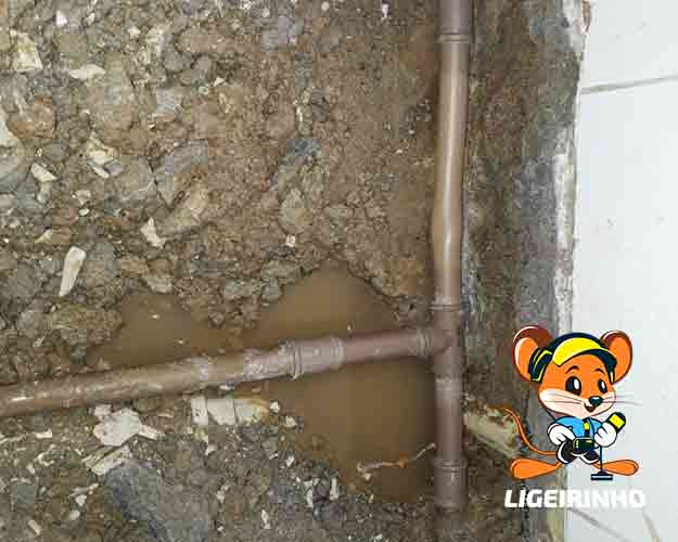 Serviço profissional de detecção de vazamento com preço baixo