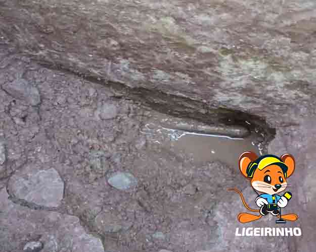 Serviço técnico de manutenção de vazamento Ligeirinho