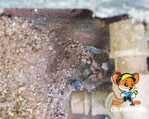 Solução em localização de vazamento BR