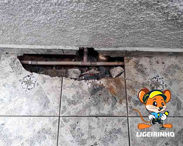 Serviço profissional de detecção de vazamento SP