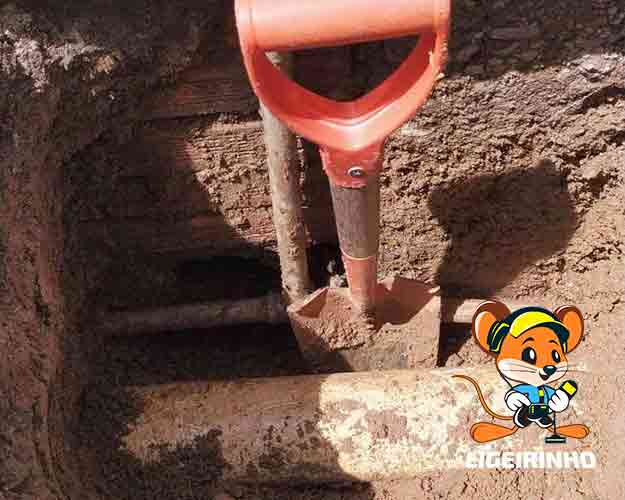 Detecção de vazamento Ligeirinho