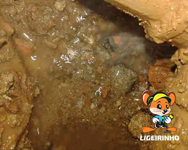 Solução em manutenção de vazamento agua Ligeirinho