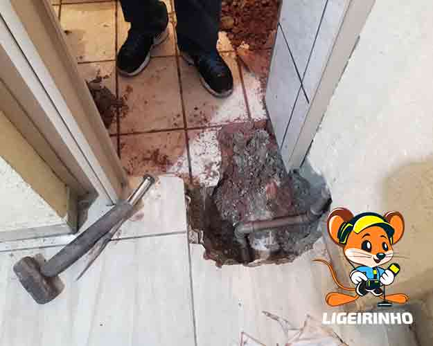 Empresa que detecta vazamentos conta alta