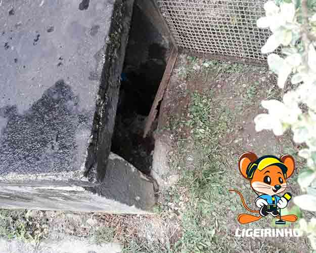 Encanador caça vazamentos perto de mim 24 horas