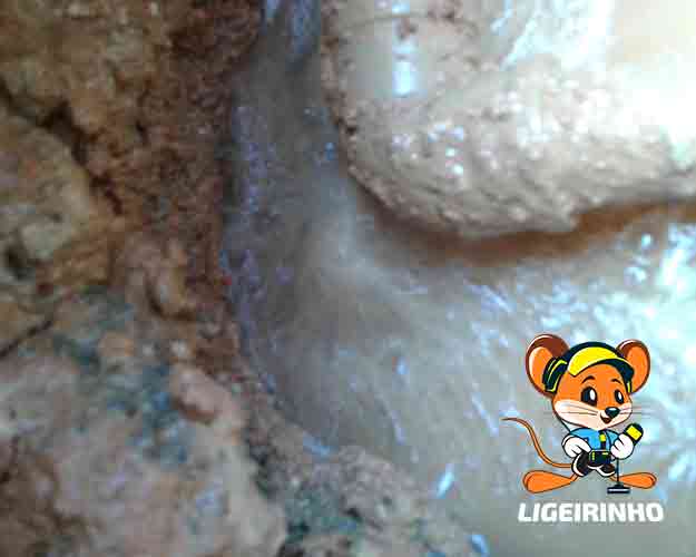 Manutenção técnica de vazamento com laudo técnico LG
