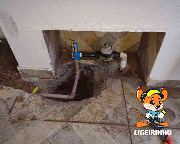 Solução de Vazamentos Profissional por Fatura Sabesp com Suporte