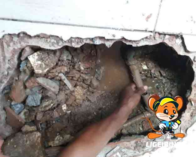 Detecção de vazamento especializado São Paulo