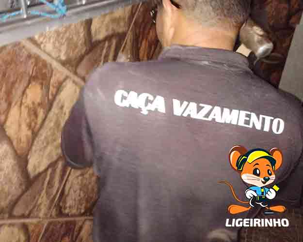 Empresa que detecta vazamentos de agua barato SP