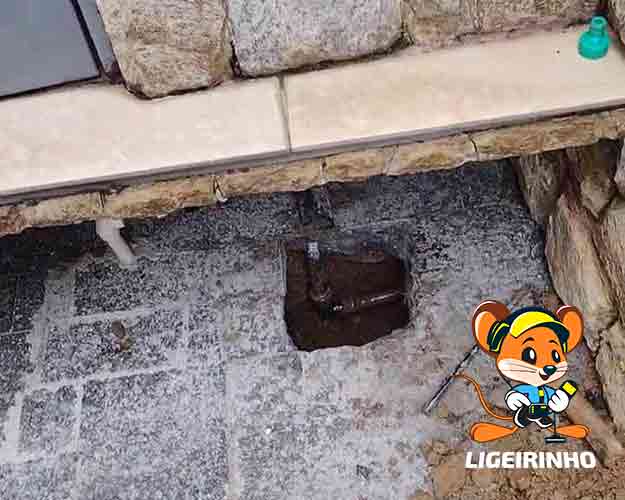 Serviço profissional de detecção de vazamento