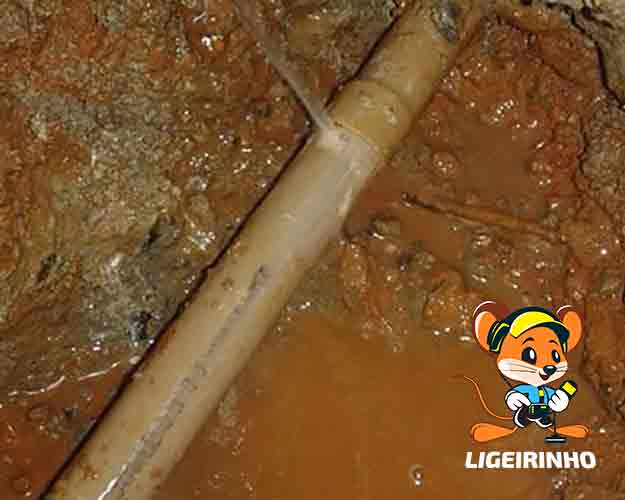 Detecção de vazamento de agua especializado com laudo técnico LG